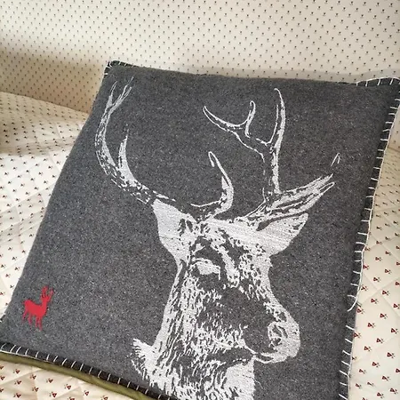 Davosblick דירה דאבוס